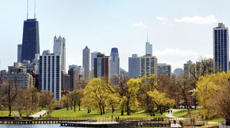 Holistic Wellness Practitioners in Chicago