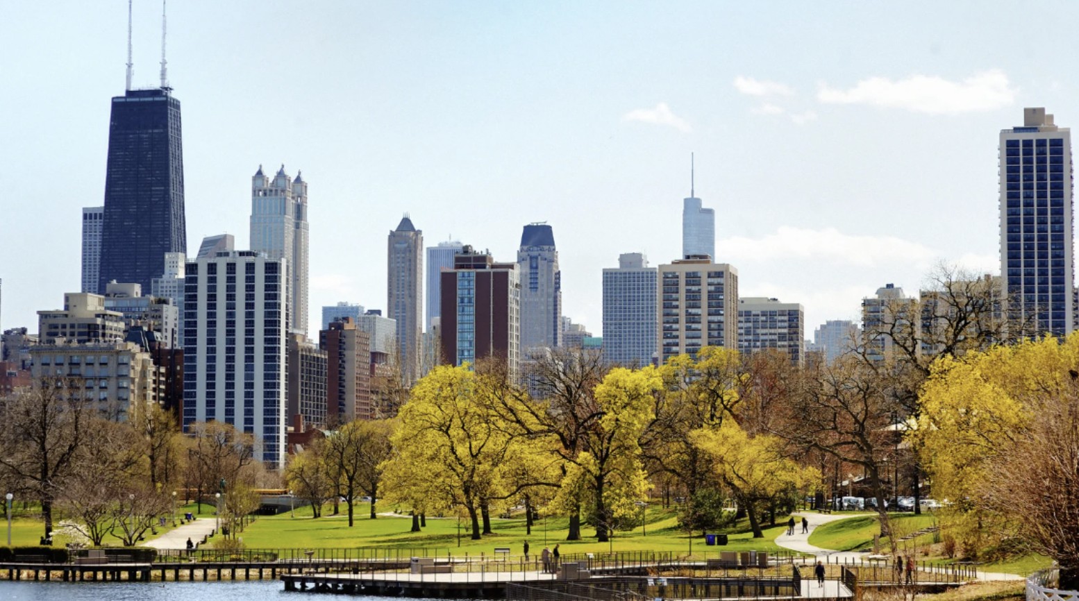 Holistic Wellness Practitioners in Chicago